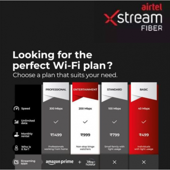 PROFESSIONAL  300Mbps   