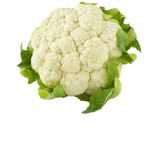 Cauliflower (కాలి-ఫ్లవర్) - 1